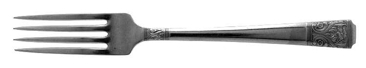 NST47 (Stainless) Fork