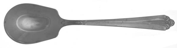 NST48 (STAINLESS) Sugar Spoon