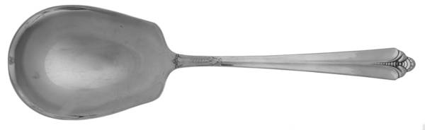 NST48 (STAINLESS) Solid Smooth Casserole Spoon