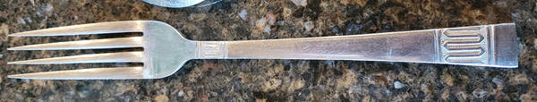 NST50 (Stainless) Fork