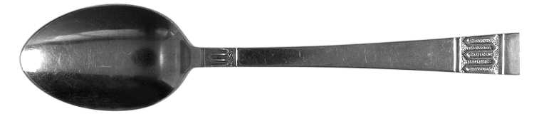 NST50 (Stainless) Teaspoon