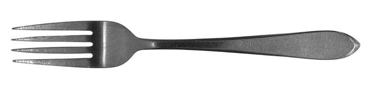 NST51 (Stainless) Fork
