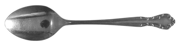 NST55 (Stainless) Teaspoon