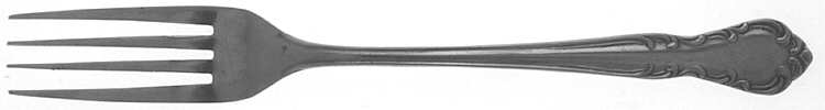 NST55 (Stainless) Fork
