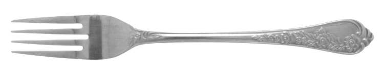 NST63 (Stainless) Fork