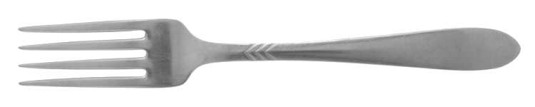 NST66 (Stainless) Fork