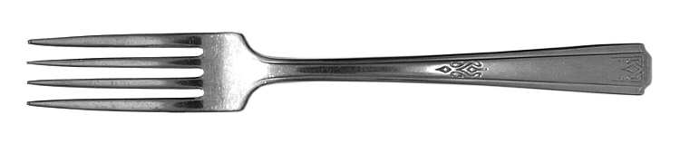 NST69 (Stainless) Fork