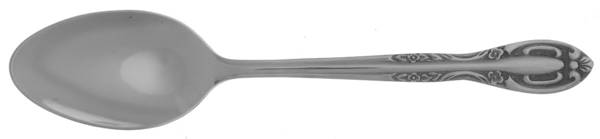 NST9 (Stainless) Teaspoon