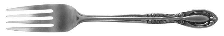 NST9 (Stainless) Fork