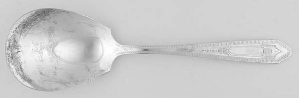 Martinique (Silverplate, 1935) Solid Smooth Casserole Spoon