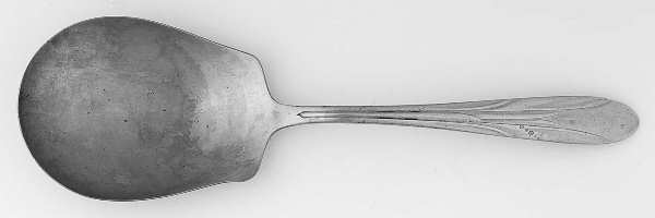 Empire (Silverplate) Solid Smooth Casserole Spoon