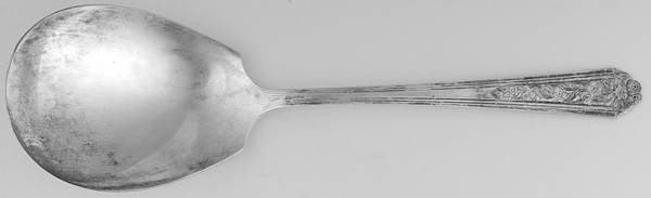 Viceroy Two (Silverplate) Solid Smooth Casserole Spoon by National Silver Co
