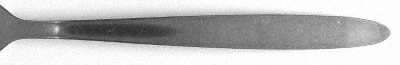 NST71 (Stainless) Fork