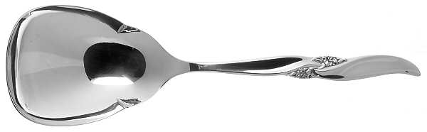 Lake Louise (Sterling) Solid Smooth Casserole Spoon