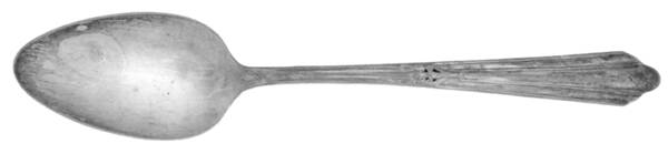 NTS29 (Silverplate) Place/Oval Soup Spoon