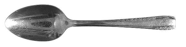 NST86 (STAINLESS) Tablespoon (Serving Spoon)