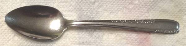 NST86 (STAINLESS) Teaspoon