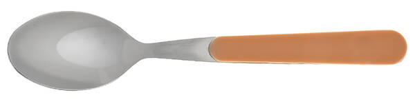 Solid Color Light Brown Teaspoon