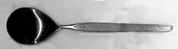 Sandswept (Stainless) Sugar Spoon