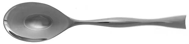 Butterfly (Stainless) Solid Serving Spoon