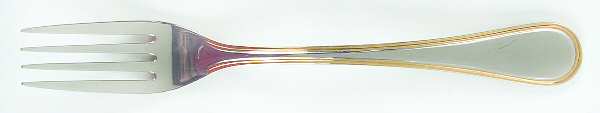 NS10 (Stainless) Fork