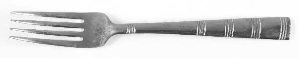 NST96 (Stainless) Fork