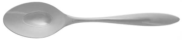Glacier (Stainless) Solid Serving Spoon
