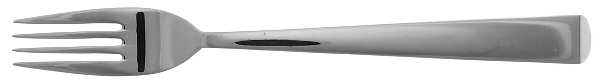 Spinnaker (Stainless) Fork
