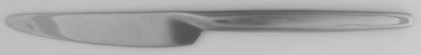 Capture (Stainless) New French Solid Knife