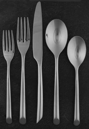 Frond (Stainless) 5 Piece Place Setting