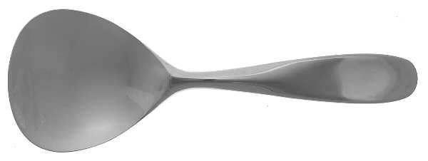 Sage (Stainless) Solid Serving Spoon