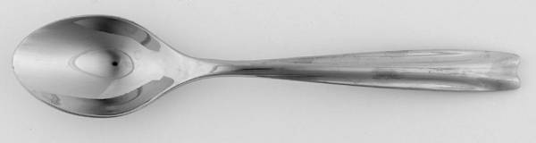 Echo (Stainless) Teaspoon