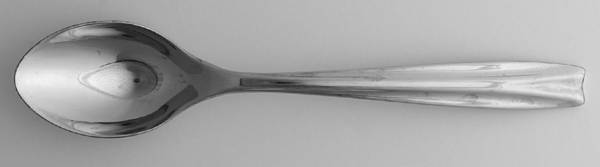 Echo (Stainless) Place/Oval Soup Spoon