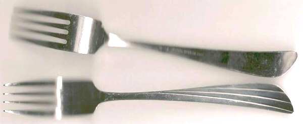 NS14 (Stainless) Fork