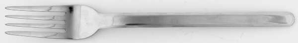 NSF4 (Stainless) Fork