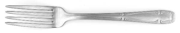 NST41 (Stainless) Fork