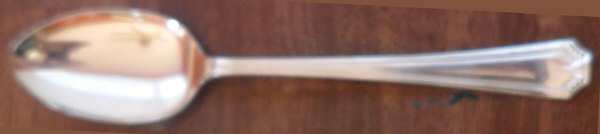 NTS54 (Silverplate) Place/Oval Soup Spoon