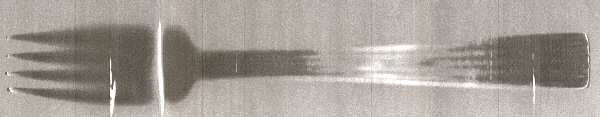 NES2 (Stainless) Fork
