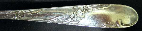 NTS57 (STAINLESS) by National Silver Co