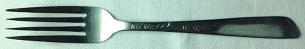 NTS60 (Stainless) Fork