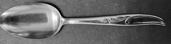 NST111 (Stainless) Teaspoon