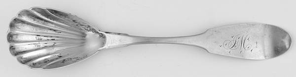 NWT2 (Coin) Sugar Shell Spoon
