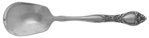 Affection (Stainless) Sugar Spoon