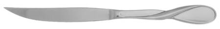 Aquarius (Stainless) Steak Knife Individual Solid No Serrate HC