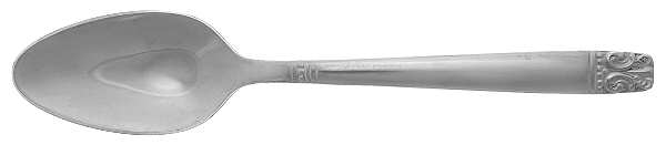 Aztec-Encore (Stainless, Wm A Rogers) Teaspoon