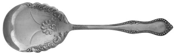 Beaded-Niagara Falls Solid Smooth Casserole Spoon