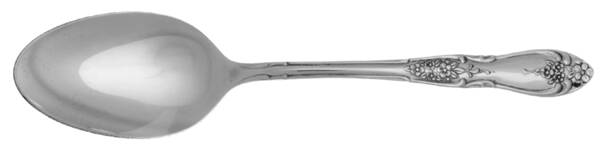 Brooklea (Stainless) Tablespoon (Serving Spoon)