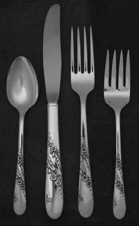 Bridal Wreath (Silverplate, 1950) 4 Piece Place Setting