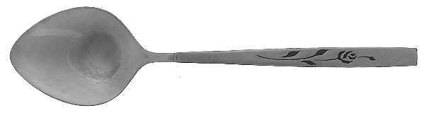 Capistrano (Stainless) Sugar Spoon