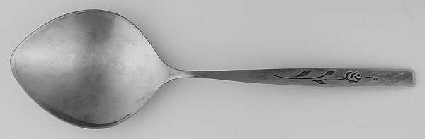 Capistrano (Stainless) Solid Smooth Casserole Spoon